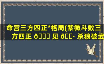 命宫三方四正*
格局(紫微斗数三方四正 🐈 见 🌷 杀狼破武)